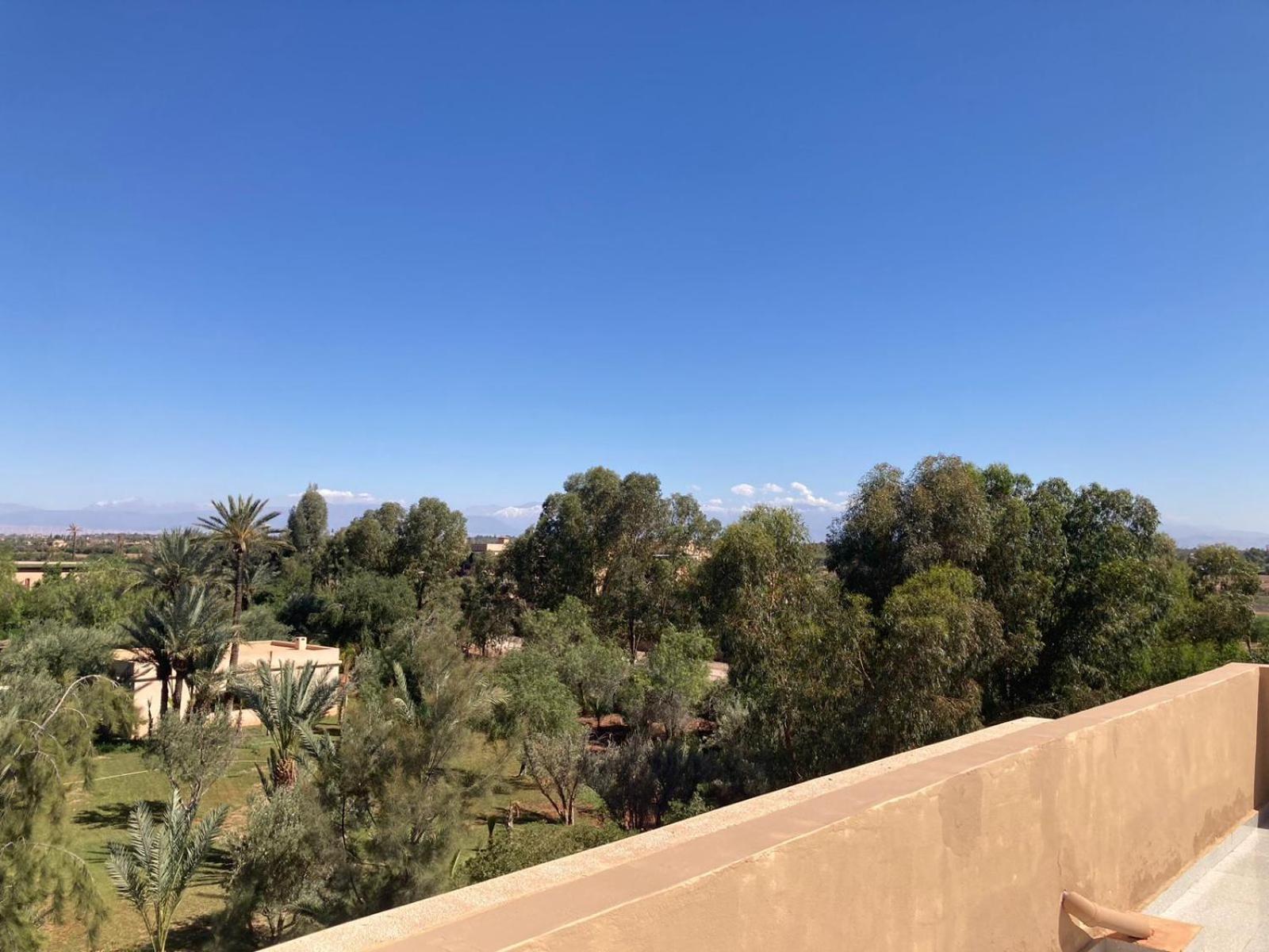 Family Palms Luxe Villa Marrakech With Private Pool 马拉喀什 客房 照片